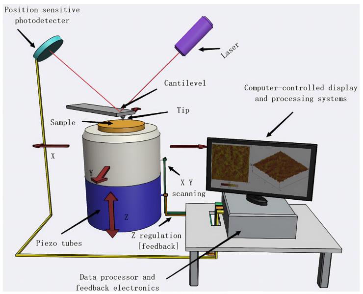 https://cdn.ncbi.nlm.nih.gov/pmc/blobs/523d/10890076/0df77431be49/membranes-14-00035-g003.jpg