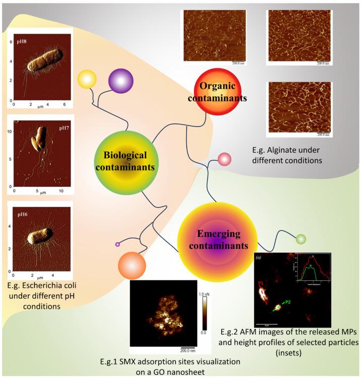 https://cdn.ncbi.nlm.nih.gov/pmc/blobs/523d/10890076/44881e4c2046/membranes-14-00035-g006.jpg