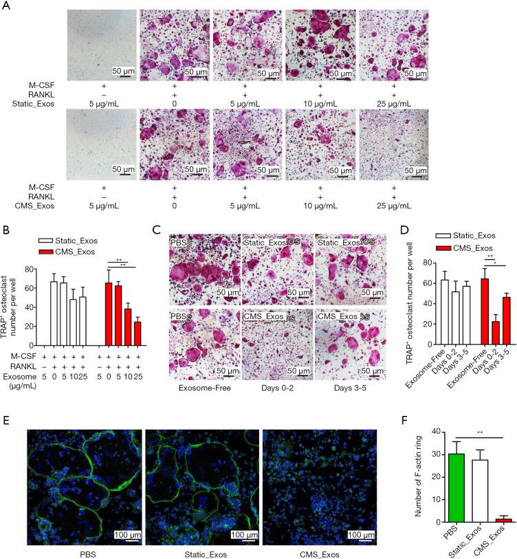 https://cdn.ncbi.nlm.nih.gov/pmc/blobs/523f/8246225/6529e236db68/atm-09-09-798-f2.jpg