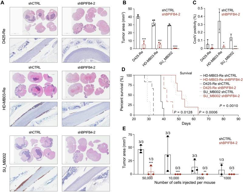 https://cdn.ncbi.nlm.nih.gov/pmc/blobs/523f/8654291/c20cebc0f70c/sciadv.abi5568-f5.jpg