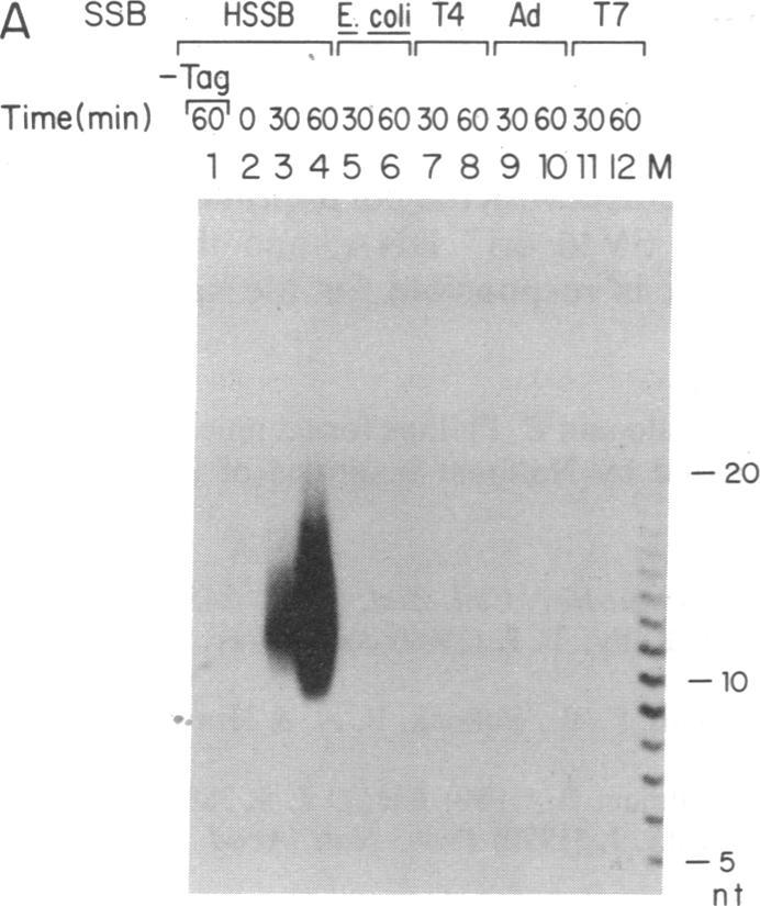 https://cdn.ncbi.nlm.nih.gov/pmc/blobs/5240/55243/61dafa75e064/pnas01049-0217-a.jpg