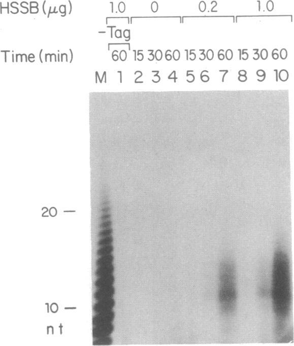 https://cdn.ncbi.nlm.nih.gov/pmc/blobs/5240/55243/7c13d7d368a4/pnas01049-0216-b.jpg