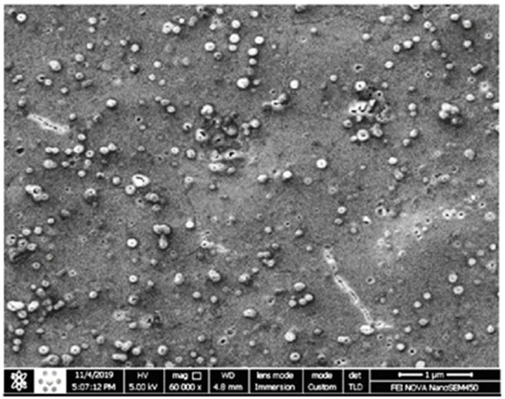 https://cdn.ncbi.nlm.nih.gov/pmc/blobs/5241/7606360/da31f263096c/IJN-15-8345-g0004.jpg