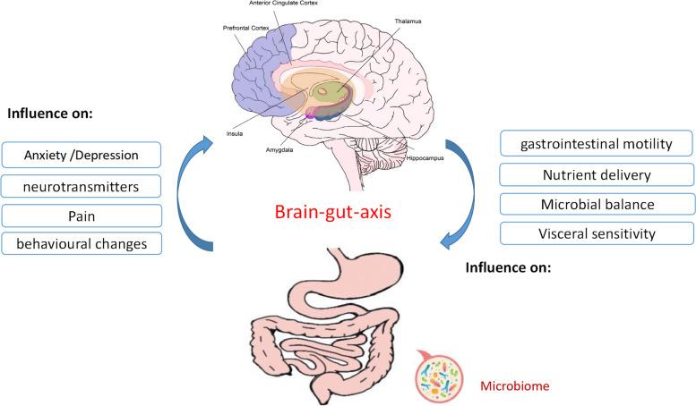 https://cdn.ncbi.nlm.nih.gov/pmc/blobs/5245/10809475/45afd73bf1ac/12876_2024_3124_Fig5_HTML.jpg