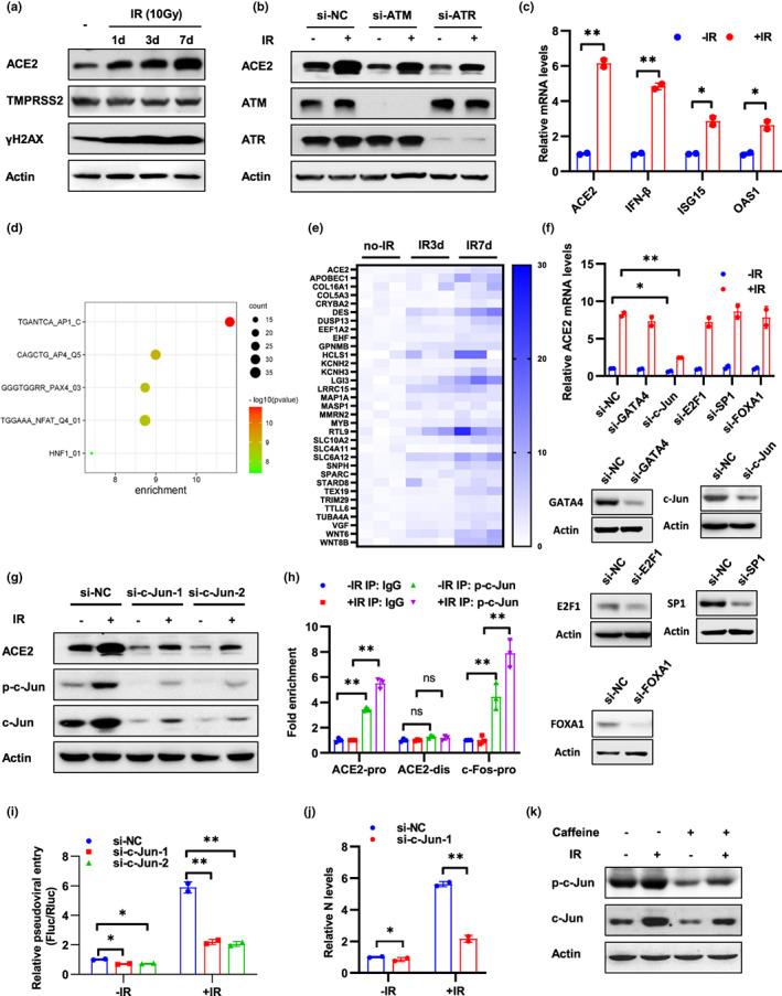 https://cdn.ncbi.nlm.nih.gov/pmc/blobs/5245/9741512/bb19a6086ac7/ACEL-21-e13729-g006.jpg