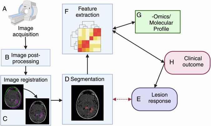 https://cdn.ncbi.nlm.nih.gov/pmc/blobs/5246/12118737/fd185517cf66/44303_2025_76_Fig2_HTML.jpg