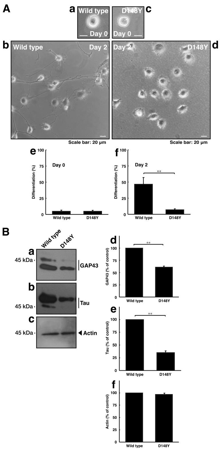 https://cdn.ncbi.nlm.nih.gov/pmc/blobs/5247/10888485/35e12da6867d/cimb-46-00090-g003.jpg