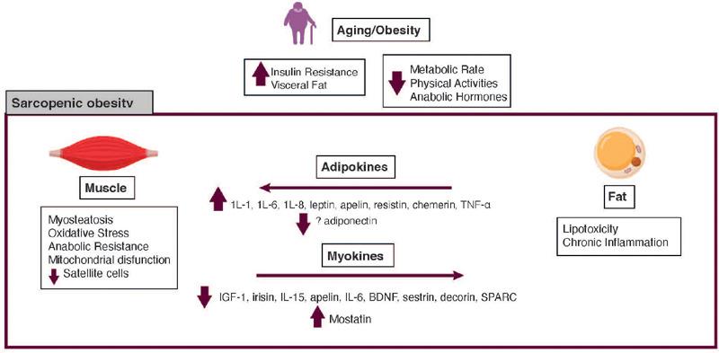 https://cdn.ncbi.nlm.nih.gov/pmc/blobs/5247/11967173/74e61f8f5d34/2359-4292-aem-68-e240084-g01.jpg