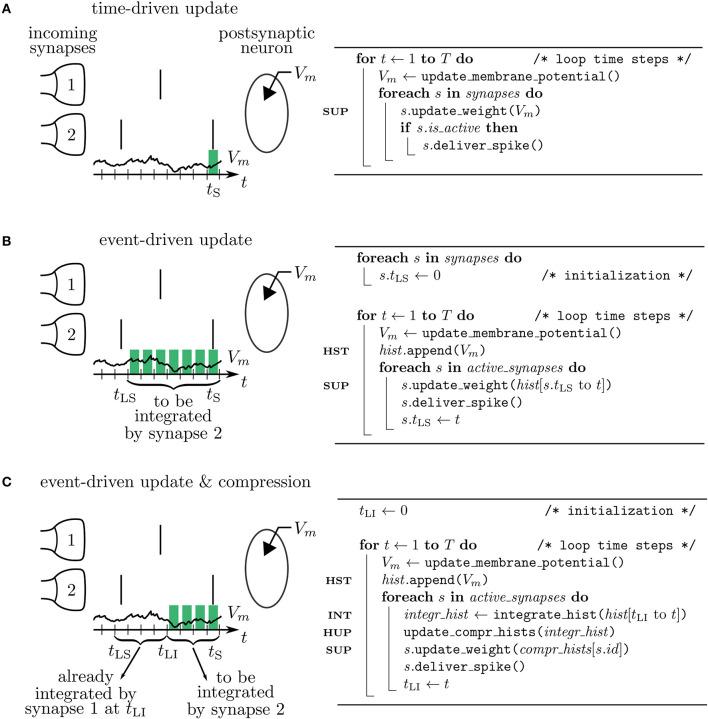 https://cdn.ncbi.nlm.nih.gov/pmc/blobs/5247/8222618/2cd31624e5de/fninf-15-609147-g0004.jpg