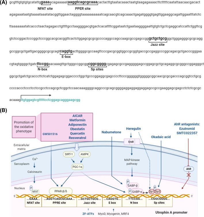 https://cdn.ncbi.nlm.nih.gov/pmc/blobs/5247/8518368/4079feddbb78/NAN-47-711-g003.jpg