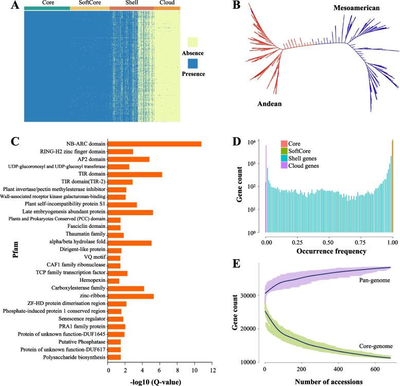 https://cdn.ncbi.nlm.nih.gov/pmc/blobs/5249/12084947/0fe4bbaf1590/12864_2025_11662_Fig1_HTML.jpg
