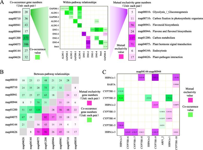https://cdn.ncbi.nlm.nih.gov/pmc/blobs/5249/12084947/2ee0605da3d8/12864_2025_11662_Fig7_HTML.jpg