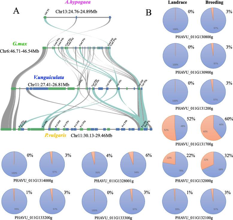 https://cdn.ncbi.nlm.nih.gov/pmc/blobs/5249/12084947/b4169ad18a9f/12864_2025_11662_Fig3_HTML.jpg