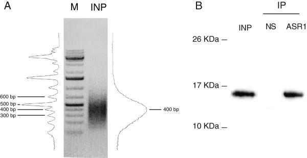 https://cdn.ncbi.nlm.nih.gov/pmc/blobs/524a/3923394/9485fc7927ec/1471-2229-14-29-1.jpg