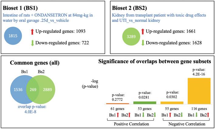 https://cdn.ncbi.nlm.nih.gov/pmc/blobs/524a/8484575/bd35dddbd64f/41598_2021_98734_Fig1_HTML.jpg