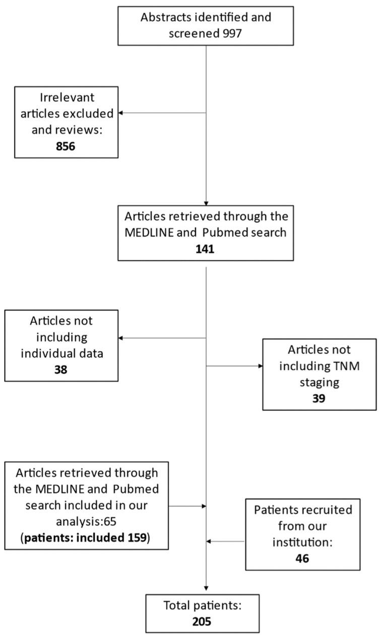 https://cdn.ncbi.nlm.nih.gov/pmc/blobs/524b/10204473/8a39a3b7fb3c/medsci-11-00035-g001.jpg