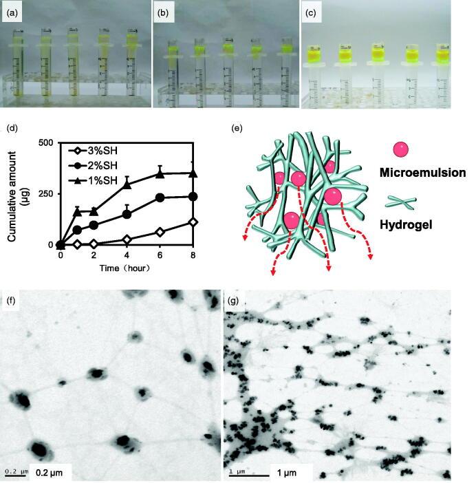 https://cdn.ncbi.nlm.nih.gov/pmc/blobs/524c/8491714/8a2960f40a6d/IDRD_A_1983073_F0007_C.jpg