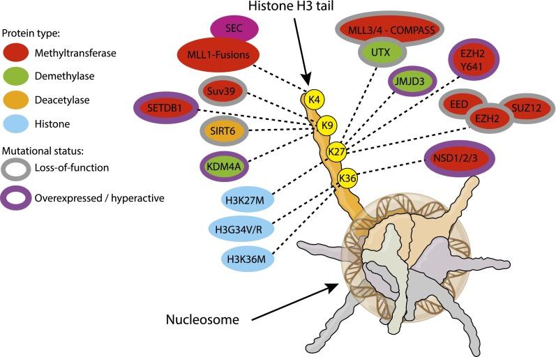 https://cdn.ncbi.nlm.nih.gov/pmc/blobs/5254/4318141/ee3d8236efd2/238fig1.jpg