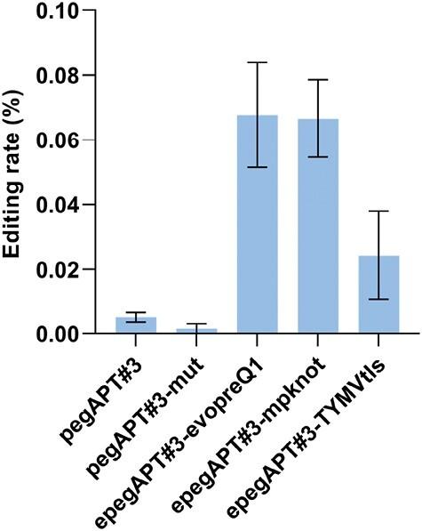 https://cdn.ncbi.nlm.nih.gov/pmc/blobs/5255/10575697/987872953353/erad189_fig5.jpg