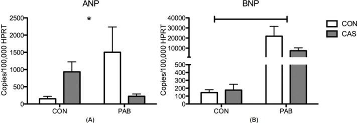 https://cdn.ncbi.nlm.nih.gov/pmc/blobs/5257/3487303/4dd9ced5a304/PC-2-352-g003.jpg