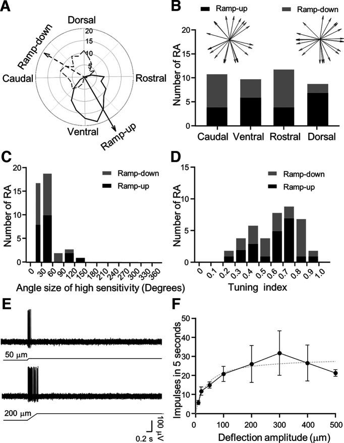 https://cdn.ncbi.nlm.nih.gov/pmc/blobs/5257/9721307/7e21353bfc0a/ENEURO.0175-22.2022_f002.jpg