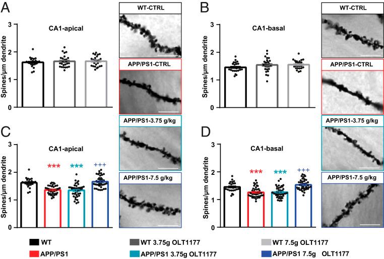 https://cdn.ncbi.nlm.nih.gov/pmc/blobs/525c/7749353/5ac772ea944e/pnas.2009680117fig03.jpg