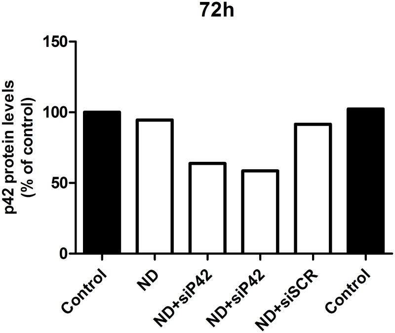 https://cdn.ncbi.nlm.nih.gov/pmc/blobs/525e/5104433/d1c660dd0b92/pone.0165704.g006.jpg