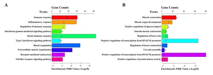 https://cdn.ncbi.nlm.nih.gov/pmc/blobs/525e/5356817/d64e293aefa6/oncotarget-08-2477-g003.jpg