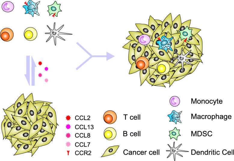 https://cdn.ncbi.nlm.nih.gov/pmc/blobs/525e/7257158/2bfd25f4aef6/12964_2020_589_Fig1_HTML.jpg