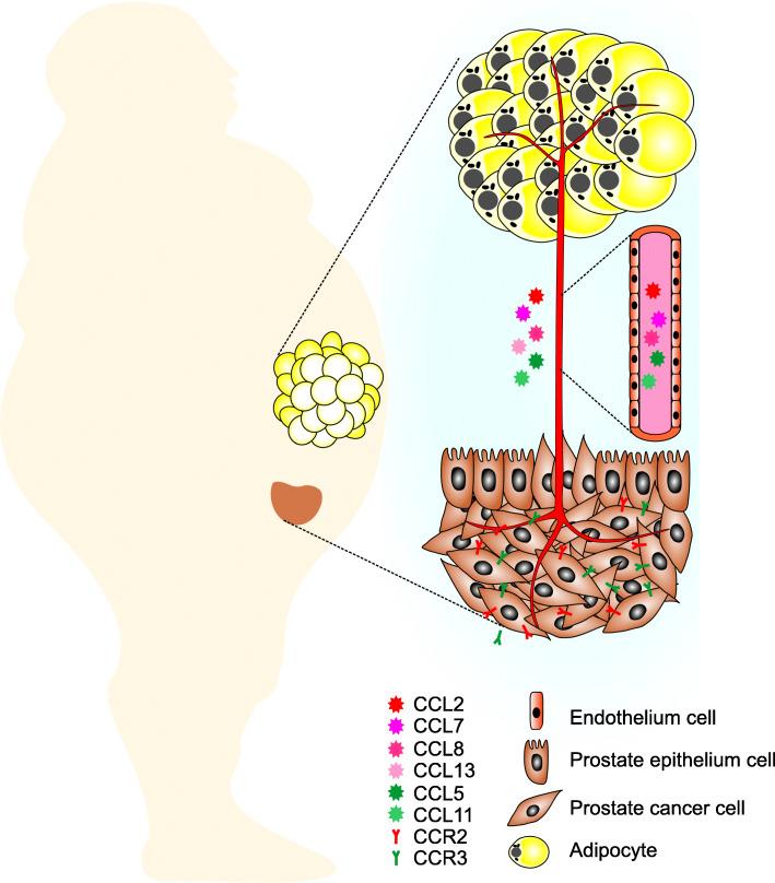 https://cdn.ncbi.nlm.nih.gov/pmc/blobs/525e/7257158/c3859635f80c/12964_2020_589_Fig5_HTML.jpg