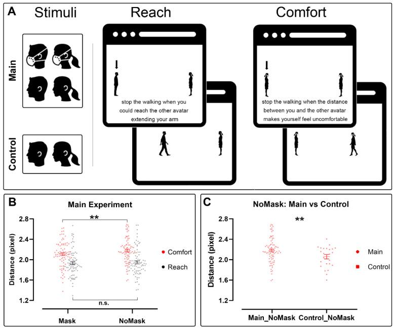 https://cdn.ncbi.nlm.nih.gov/pmc/blobs/525e/9139907/260c3471d19f/brainsci-12-00682-g001.jpg