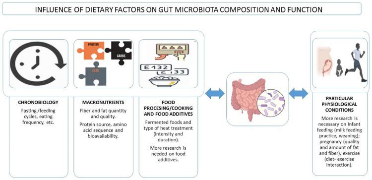 https://cdn.ncbi.nlm.nih.gov/pmc/blobs/525f/9318379/9935e4527f80/microorganisms-10-01368-g001.jpg