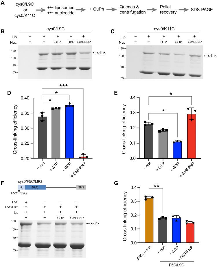 https://cdn.ncbi.nlm.nih.gov/pmc/blobs/5262/12315959/11fbf284500a/sciadv.ads9443-f4.jpg