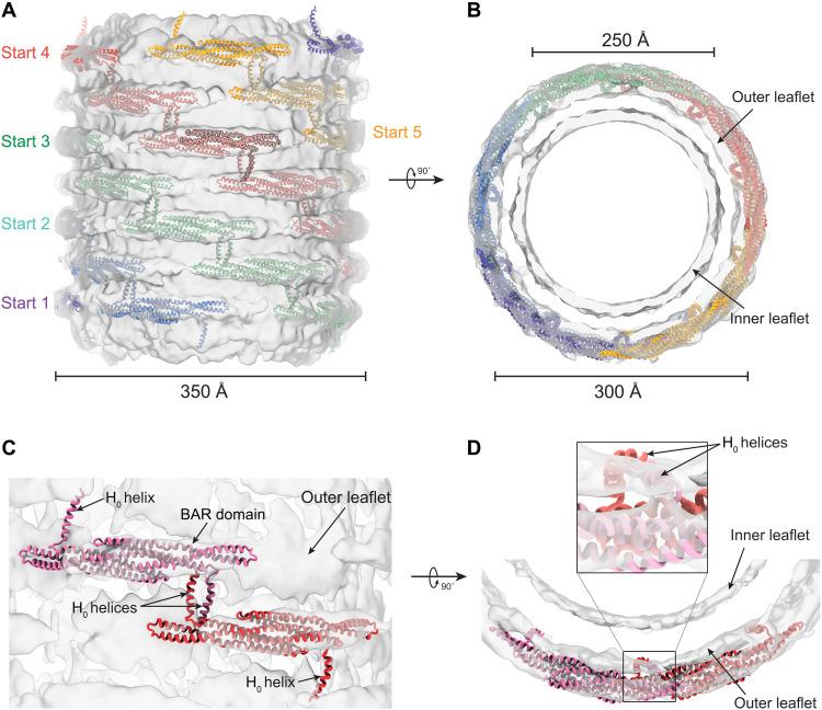 https://cdn.ncbi.nlm.nih.gov/pmc/blobs/5262/12315959/6db887177228/sciadv.ads9443-f7.jpg
