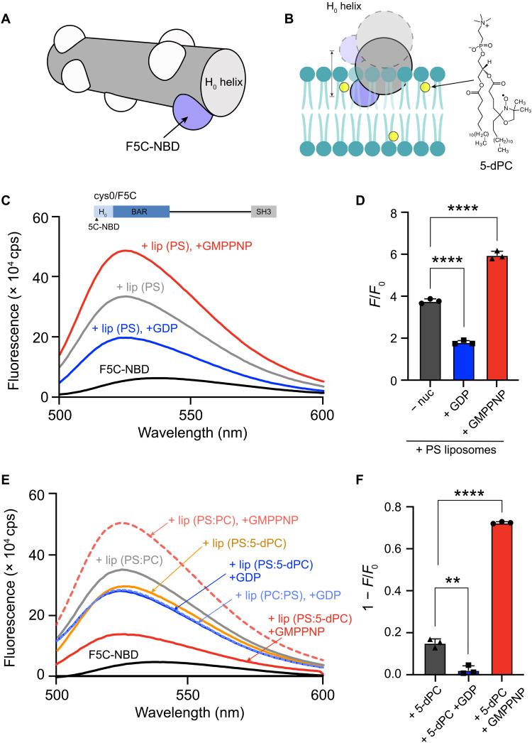 https://cdn.ncbi.nlm.nih.gov/pmc/blobs/5262/12315959/a85bfd8c6d4b/sciadv.ads9443-f5.jpg