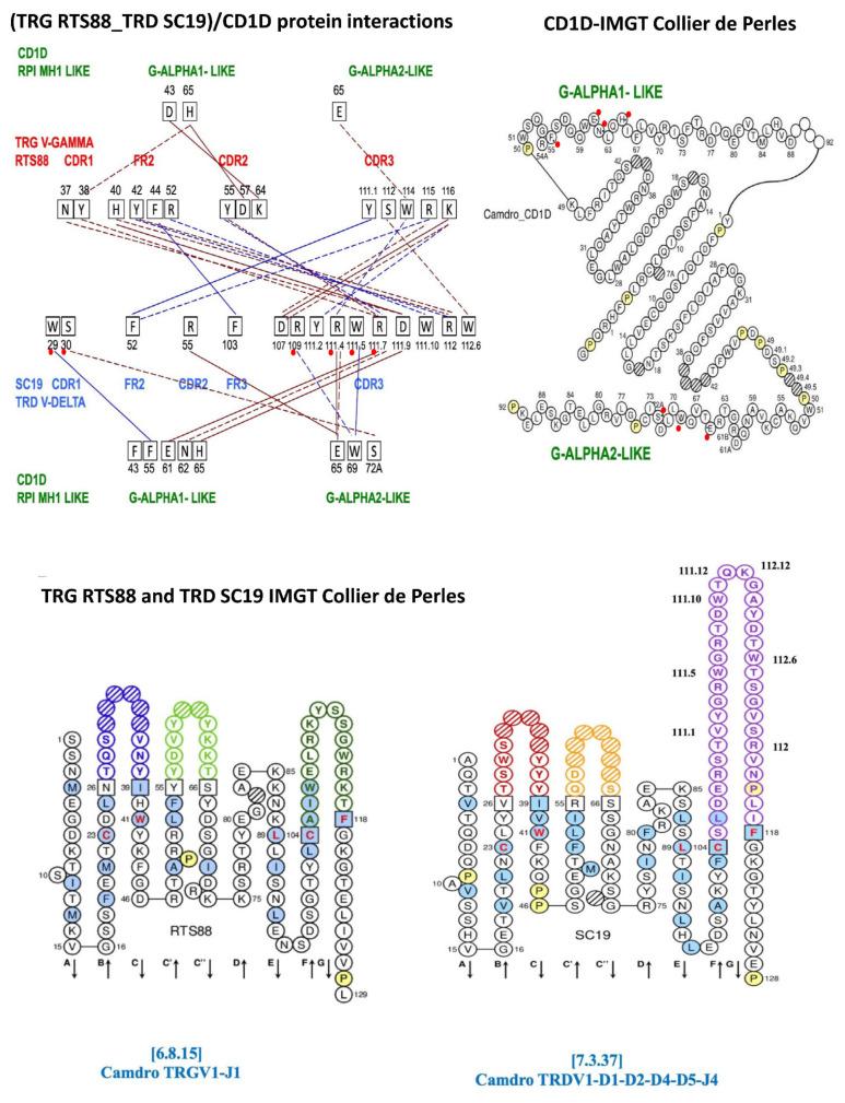 https://cdn.ncbi.nlm.nih.gov/pmc/blobs/5263/12189835/b7476c0ae31b/antibodies-14-00046-g002.jpg