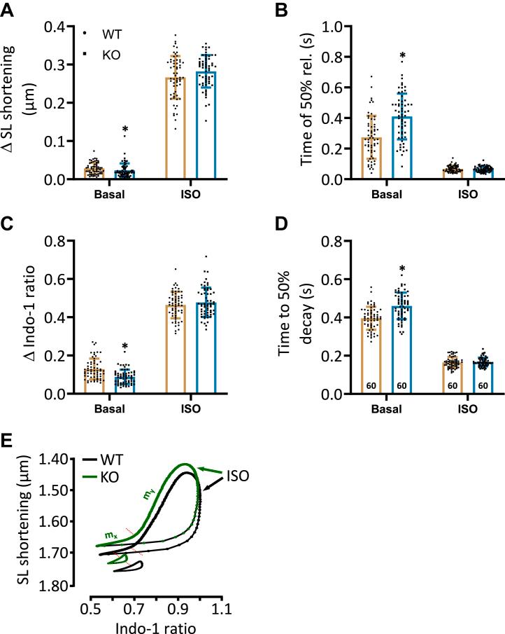 https://cdn.ncbi.nlm.nih.gov/pmc/blobs/5263/9478386/81ed0e9ea667/gr5.jpg
