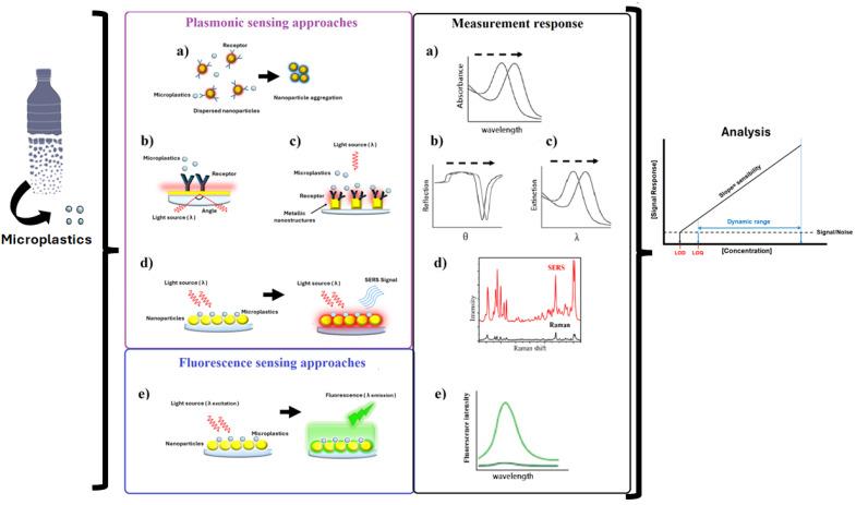 https://cdn.ncbi.nlm.nih.gov/pmc/blobs/5264/11763714/e947cd9cf53d/biosensors-15-00044-g004.jpg