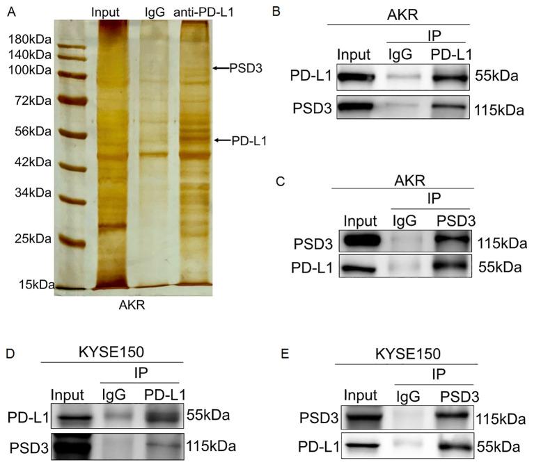 https://cdn.ncbi.nlm.nih.gov/pmc/blobs/5264/12394057/90cf3896c335/fimmu-16-1641254-g011.jpg