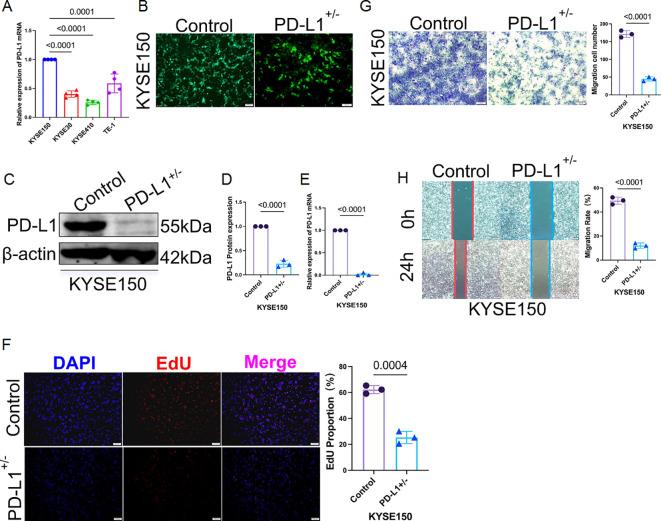 https://cdn.ncbi.nlm.nih.gov/pmc/blobs/5264/12394057/b4e9e2bdad84/fimmu-16-1641254-g010.jpg
