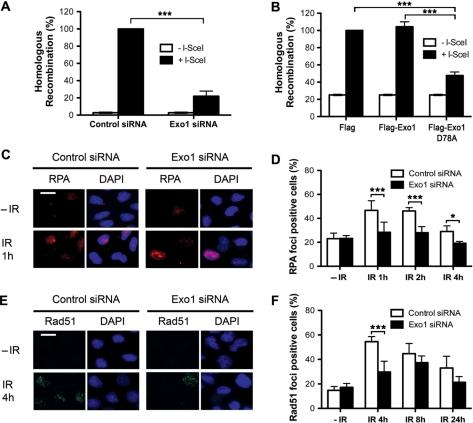 https://cdn.ncbi.nlm.nih.gov/pmc/blobs/5264/2847229/258e66639a7c/gkp1164f3.jpg