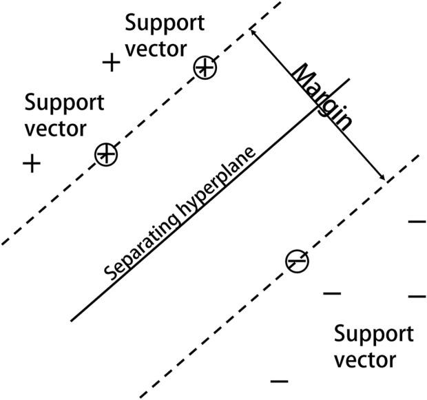 https://cdn.ncbi.nlm.nih.gov/pmc/blobs/5264/9558165/0ed4471a9cbf/fphys-13-991990-g004.jpg
