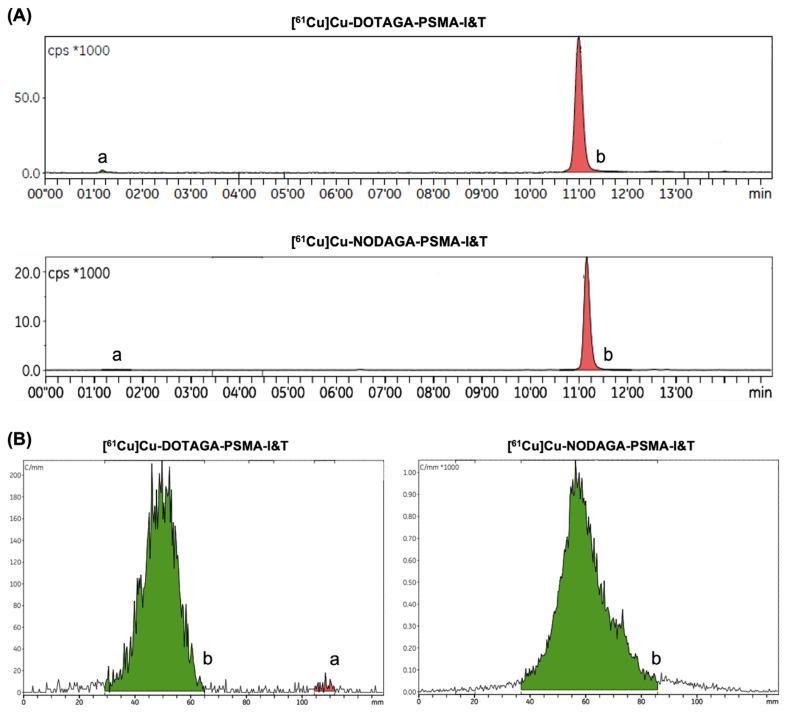 https://cdn.ncbi.nlm.nih.gov/pmc/blobs/5265/12030277/eb72e2b02b4c/pharmaceuticals-18-00469-g001.jpg