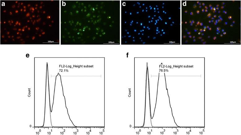 https://cdn.ncbi.nlm.nih.gov/pmc/blobs/5265/5655878/8f165e62c538/13287_2017_684_Fig1_HTML.jpg
