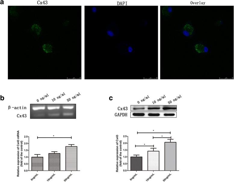 https://cdn.ncbi.nlm.nih.gov/pmc/blobs/5265/5655878/ad66e5e327a6/13287_2017_684_Fig2_HTML.jpg