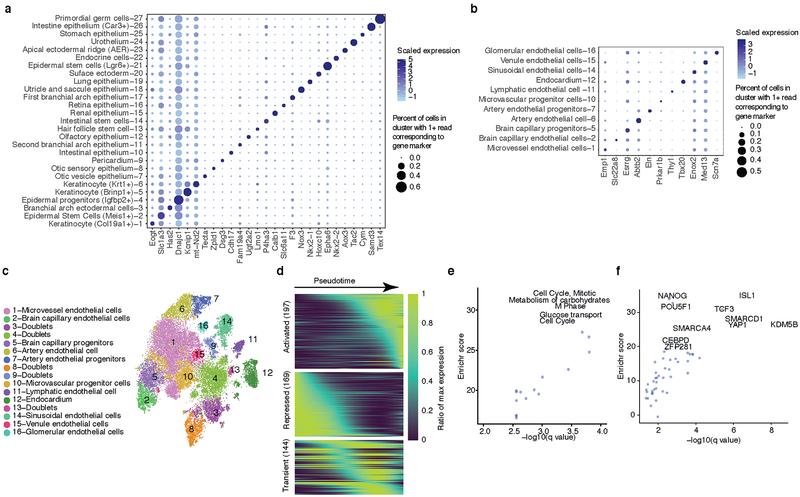 https://cdn.ncbi.nlm.nih.gov/pmc/blobs/5265/6434952/17d87ce4195e/nihms-1518381-f0012.jpg