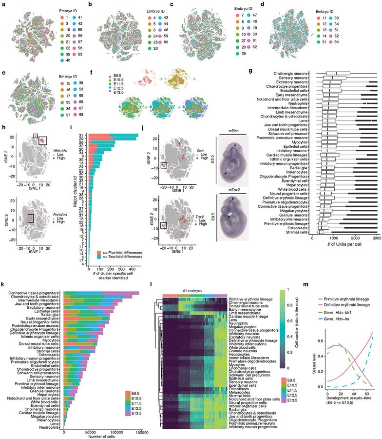 https://cdn.ncbi.nlm.nih.gov/pmc/blobs/5265/6434952/5e1e7d75bb77/nihms-1518381-f0008.jpg