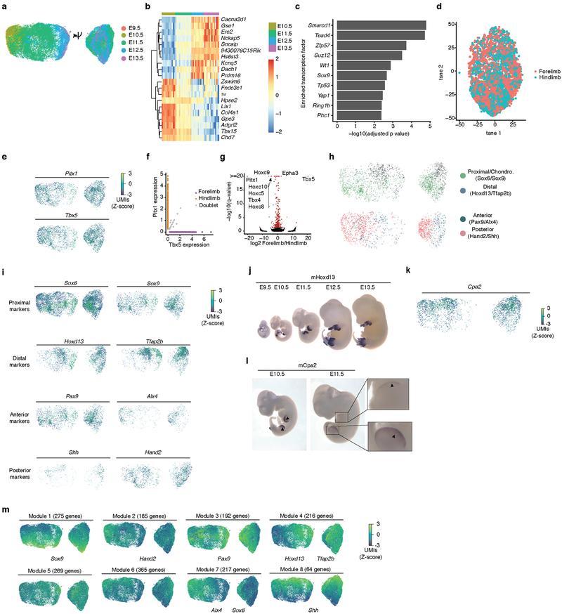 https://cdn.ncbi.nlm.nih.gov/pmc/blobs/5265/6434952/b285da17a4f1/nihms-1518381-f0013.jpg