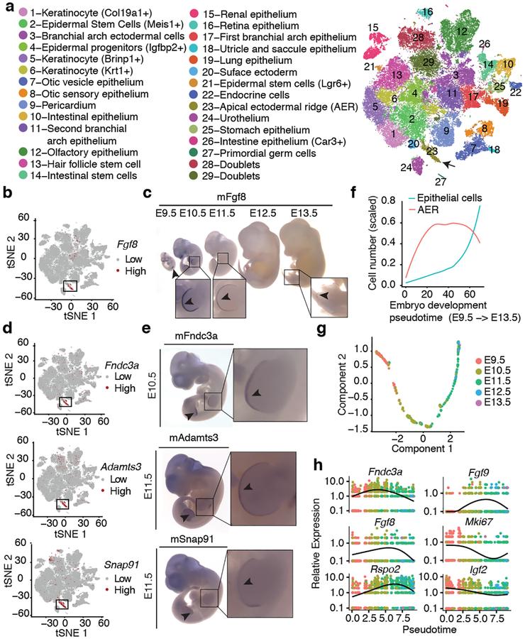 https://cdn.ncbi.nlm.nih.gov/pmc/blobs/5265/6434952/c2caf7925f5d/nihms-1518381-f0003.jpg