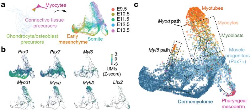 https://cdn.ncbi.nlm.nih.gov/pmc/blobs/5265/6434952/cffcd220f7c0/nihms-1518381-f0006.jpg